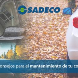 Mantenimiento del coche en otoño