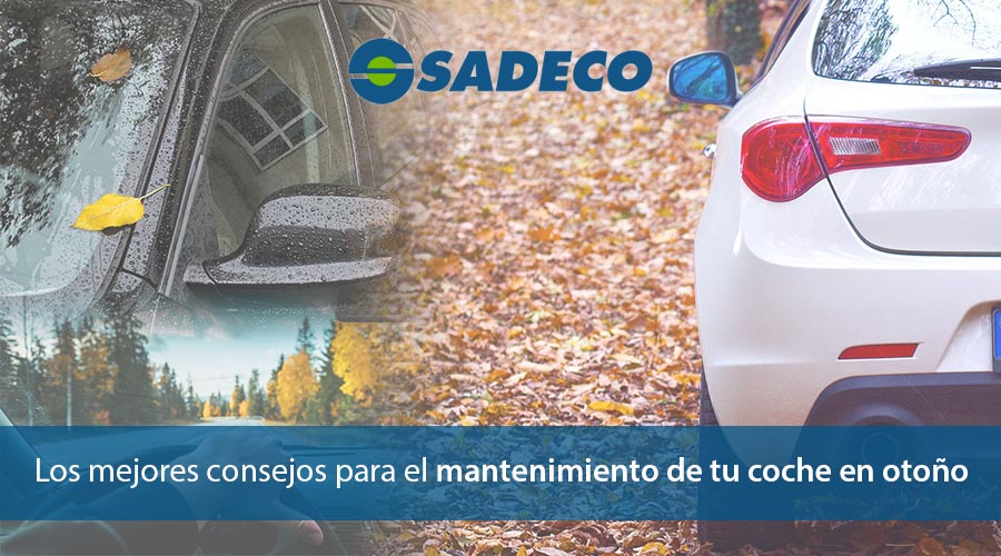 Mantenimiento del coche en otoño