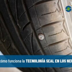 Neumáticos Seal: qué son y cómo funcionan