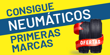 Neumático 205/55R16 91V TURANZA T005 BRIDGESTONE - Neumaticos Rodex Vigo